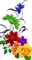 Цветы - nemokama png animuotas GIF