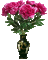 Bloemen en planten - Free animated GIF Animated GIF