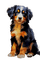 Собака арт - gratis png animerad GIF