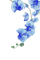 soave deco flowers branch orchid blue - png gratis GIF animado