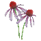 Wildflowers.Fleurs sauvages.gif.Victoriabea - Безплатен анимиран GIF анимиран GIF