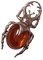 amber bettle - ilmainen png animoitu GIF