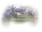 fleur violette.Cheyenne63 - PNG gratuit GIF animé