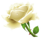 Kaz_Creations Deco Flowers Roses Flower - png gratis GIF animado