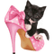 Kaz_Creations Animals Cats Cat Kitten - 免费PNG 动画 GIF