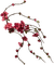 fleur rouge.Cheyenne63 - ücretsiz png animasyonlu GIF