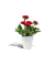 Plante - zdarma png animovaný GIF