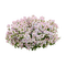 kikkapink deco scrap pink purple bush flowers - ingyenes png animált GIF