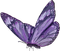 Kaz_Creations Deco Butterfly Purple - PNG gratuit GIF animé