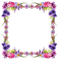 chantalmi   frame cadre fleur flower mauve purple