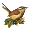Bird-RM - Free PNG Animated GIF