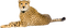 cheetah bp - безплатен png анимиран GIF