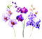 soave deco  flowers spring  garden purple green - 無料png アニメーションGIF