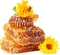 honey, honeycomb sunshine3 - безплатен png анимиран GIF