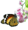 Tournesol94 papillon - png gratuito GIF animata