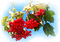 Rote Beeren - 免费PNG 动画 GIF
