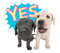 the dog line sticker - zadarmo png animovaný GIF