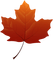 Kaz_Creations Autumn Leaf