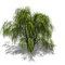 Kaz_Creations Trees Tree - gratis png animeret GIF