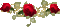 rose barre - Zdarma animovaný GIF animovaný GIF