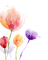 flowers  Bb2 - PNG gratuit GIF animé