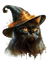 halloween, witch, cat, fantasy - 免费PNG 动画 GIF