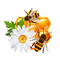 Honey Bee - Bogusia