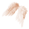 angel wings - 免费PNG 动画 GIF
