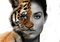 tiger - 免费PNG 动画 GIF