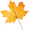 Autumn.Leaf.Yellow.Automne.Victoriabea - PNG gratuit GIF animé