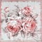 kikkapink spring background roses animated - Darmowy animowany GIF animowany gif