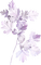 Kaz_Creations Purple Scrap Deco - ilmainen png animoitu GIF