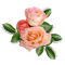 rose/decoration - png gratis GIF animasi