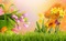 Kaz_Creations Backgrounds Background Easter - zdarma png animovaný GIF
