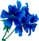 Цветок - gratis png animeret GIF