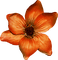 Fleur.Orange.Flower.Deco.Victoriabea - png grátis Gif Animado
