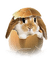 Wielkanoc zajączek - 免费PNG 动画 GIF