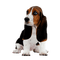 Basset Hound - bezmaksas png animēts GIF