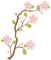 Sakura cherry flower pink fleur rose - PNG gratuit GIF animé