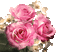Y.A.M._Flowers - 無料のアニメーション GIF アニメーションGIF