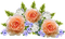 kukka, fleur, flower - darmowe png animowany gif