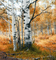 Rena Background Landschaft - bezmaksas png animēts GIF