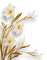 fleur blanche.Cheyenne63 - png gratuito GIF animata