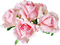 Roses.Pink - bezmaksas png animēts GIF