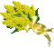 mimosa - Δωρεάν κινούμενο GIF κινούμενο GIF