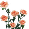 flowers katrin - darmowe png animowany gif