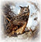 eule owl milla1959 - 免费PNG 动画 GIF