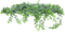 PLANT - безплатен png анимиран GIF