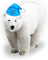 Ours polaire-polar bear-winter-hiver-Noël-Christmas