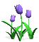 kinoto. animado. tulipanes - GIF animado grátis Gif Animado